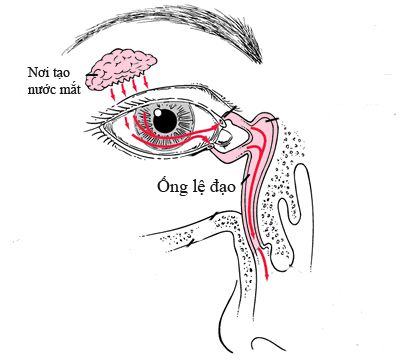 táº¯c lá» Äáº¡o á» tráº» sÆ¡ sinh