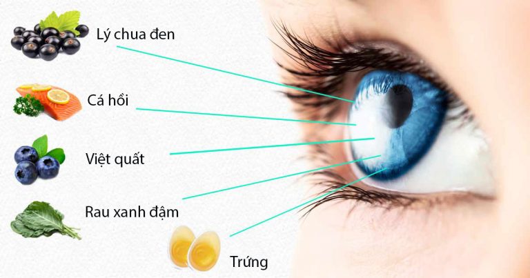 7 Chất dinh dưỡng thiết yếu cho đôi mắt khỏe mạnh 7 Chất dinh dưỡng thiết yếu cho đôi mắt khỏe mạnh