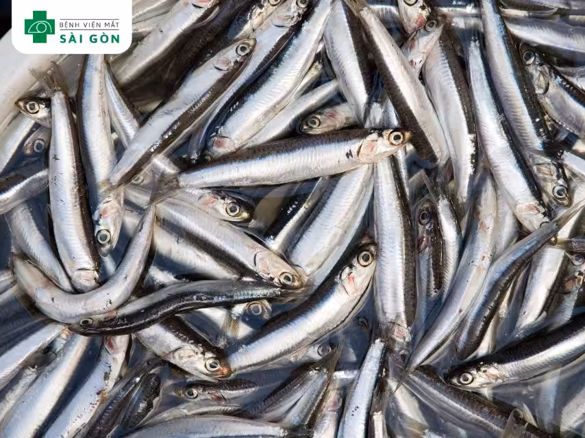 Cá cơm giàu omega-3