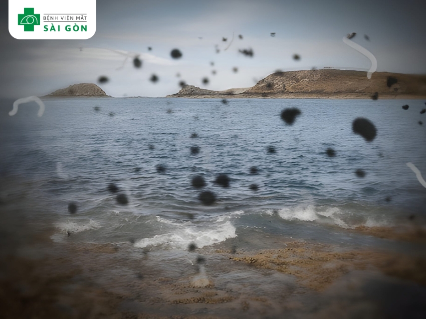 Người bị khiếm thị thấy đốm đen