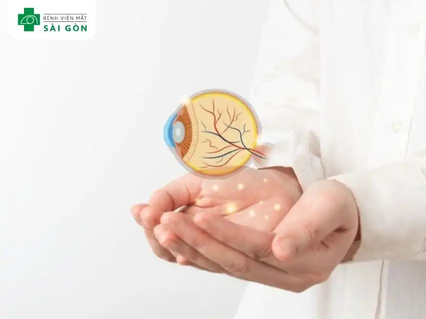 Dây thần kinh thị giác, còn được gọi là dây thần kinh sọ số II (CN II)