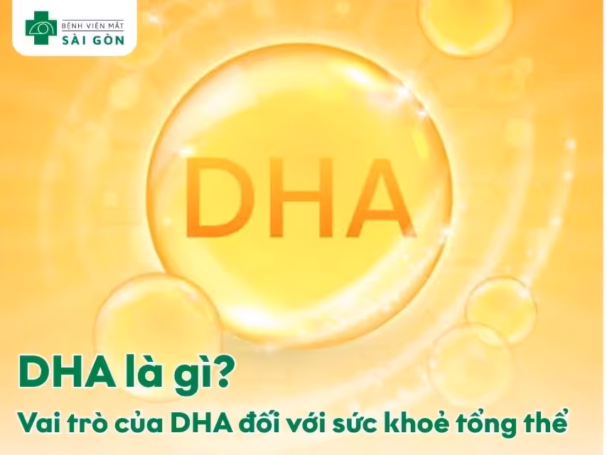 DHA là gì