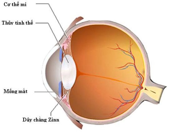 duc-thuy-tinh-the-2