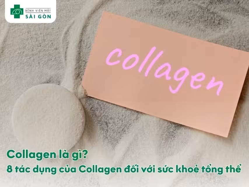 Giải thích Collagen là gì