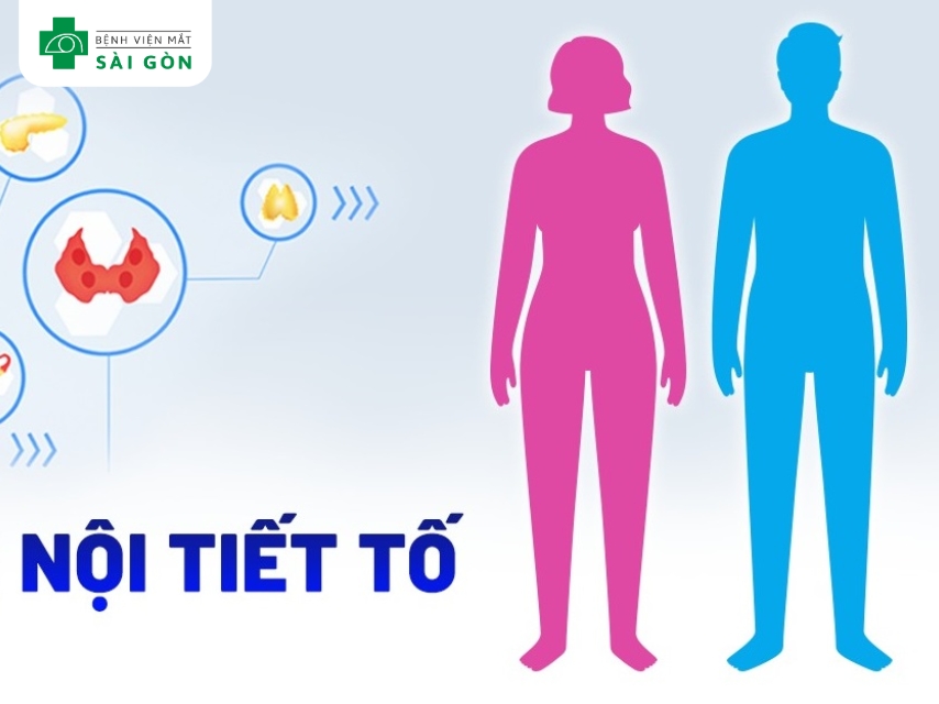 Kẽm hỗ trợ điều hòa hormone, ổn định nội tiết.