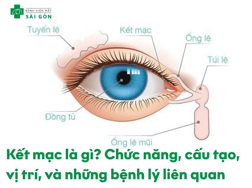Kết mạc là gì