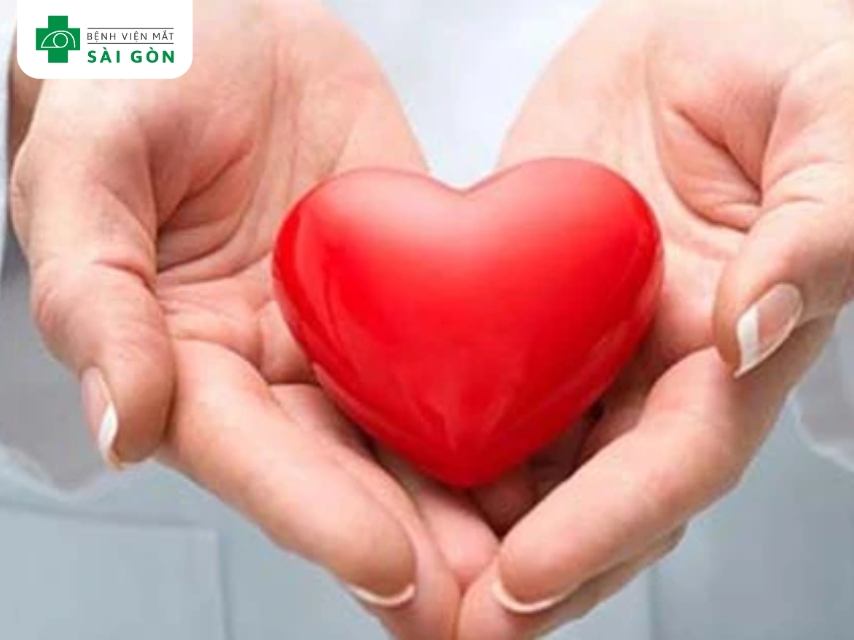 Lutein hỗ trợ bảo vệ tim mạch.