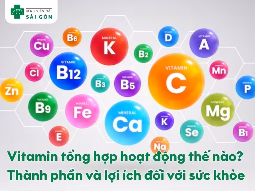 Vitamin tổng hợp hoạt động như thế nào