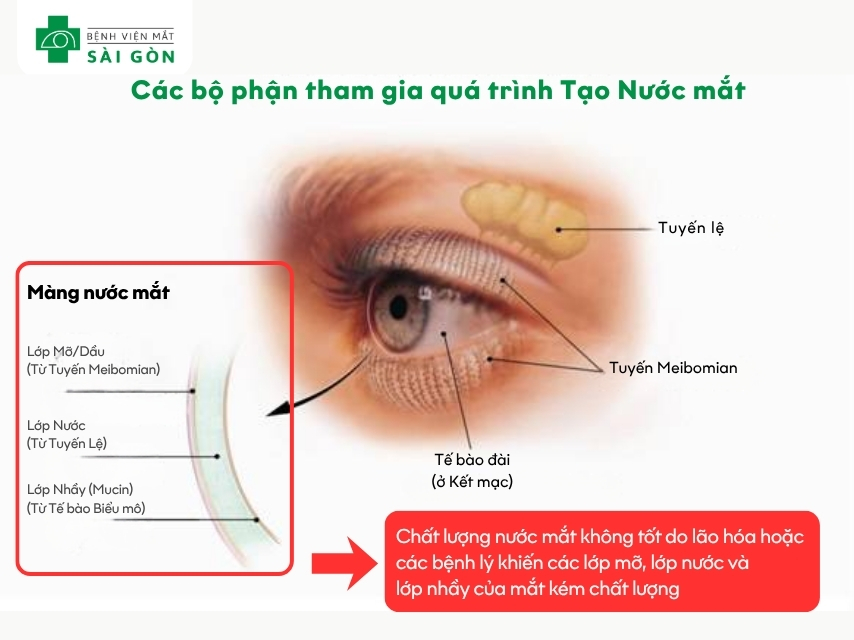 Ánh sáng xanh thiết bị điện tử gây khô mắt