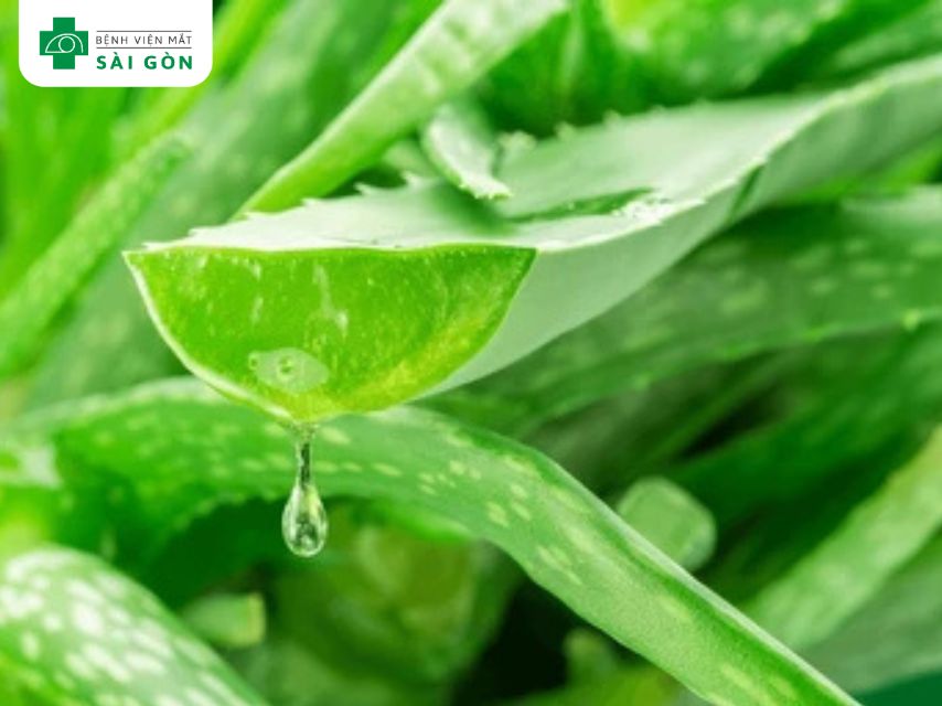 Nha đam cải thiện thâm mắt