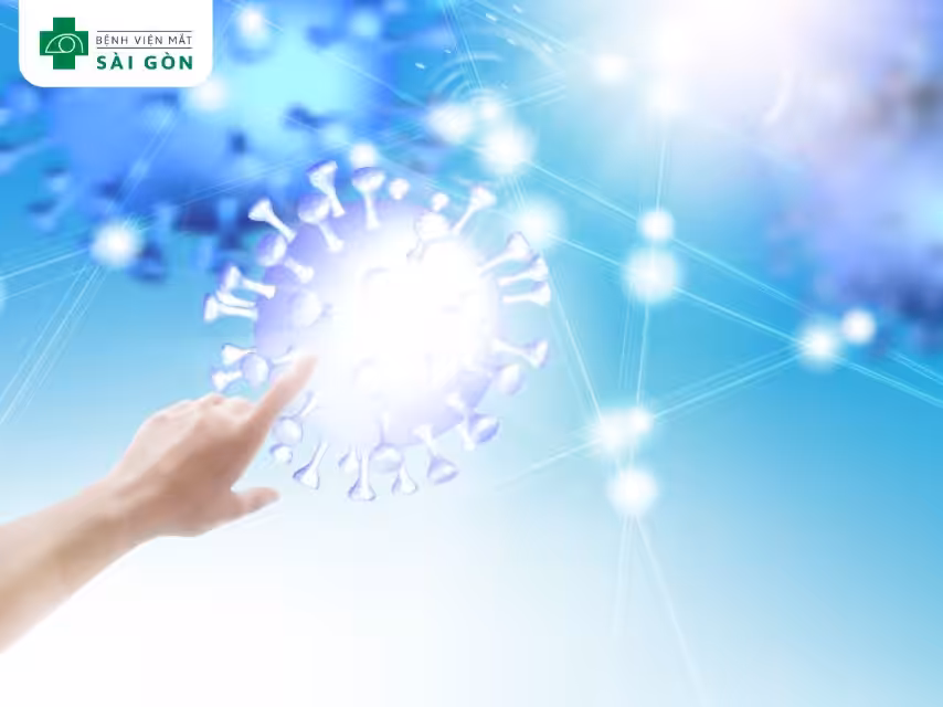 Vai trò của kẽm với hệ miễn dịch