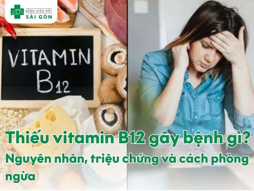 Thiếu vitamin B12 gây bệnh gì