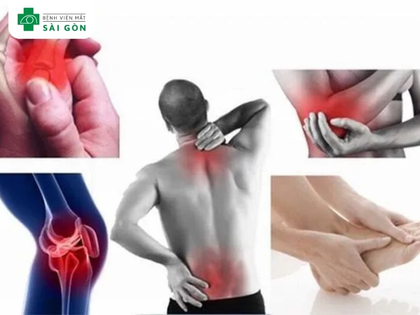 Vitamin B12 tham gia vào quá trình tạo xương