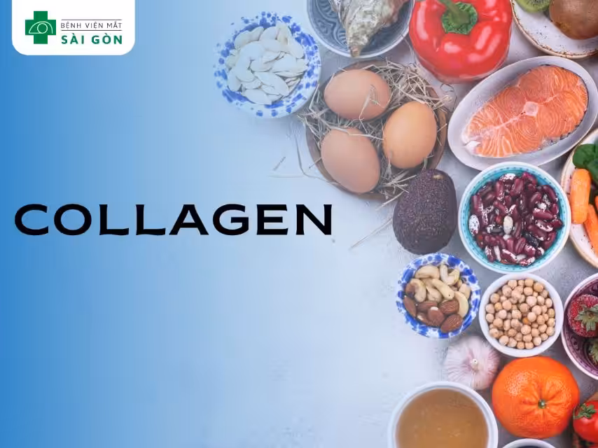 Thực phẩm giàu collagen