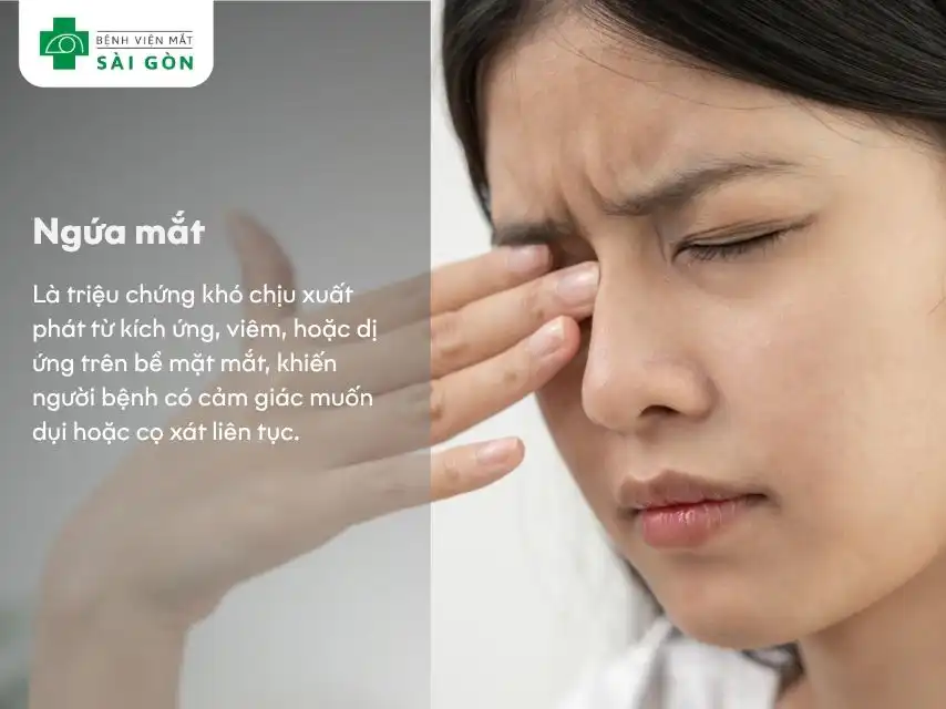 Ngứa mắt là cảm giác khó chịu do kích ứng hoặc dị ứng, khiến bạn luôn muốn dụi mắt.
