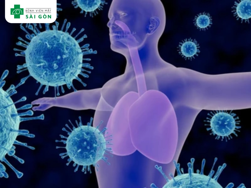 Vitamin A tăng cường miễn dịch, giảm nguy cơ nhiễm trùng.