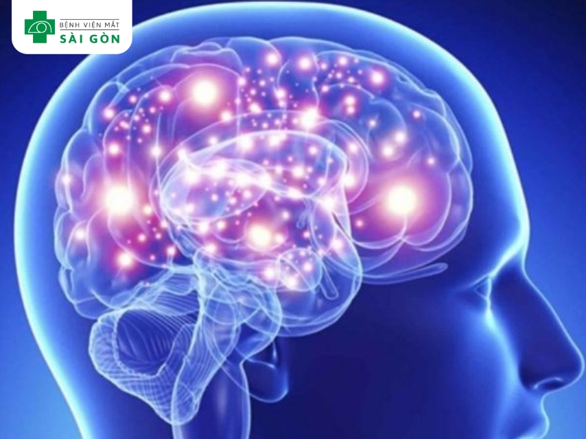 Vitamin B1 duy trì chức năng thần kinh.