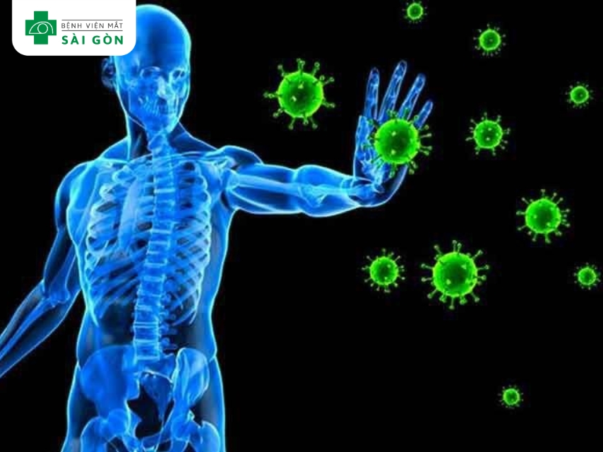 Vitamin B1 tăng cường miễn dịch, bảo vệ tiêu hóa.