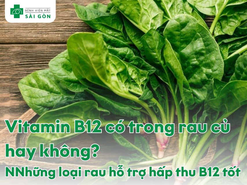 Vitamin B12 có trong rau củ hay không