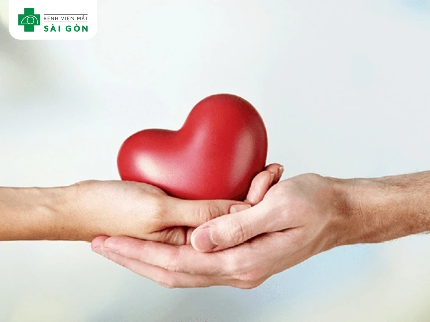 Vitamin B12 giảm homocysteine, bảo vệ hệ tim mạch.