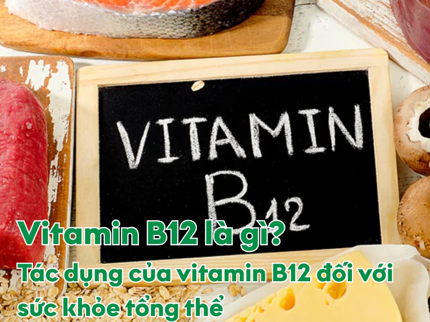 Vitamin B12 là dưỡng chất có tác dụng đối với sức khỏe.