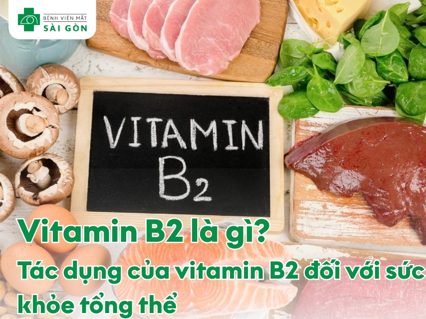 Vitamin B2 duy trì sức khỏe cơ thể.