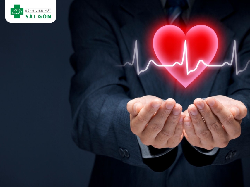 Vitamin E bảo vệ tim mạch, ngăn ngừa oxy hóa LDL.