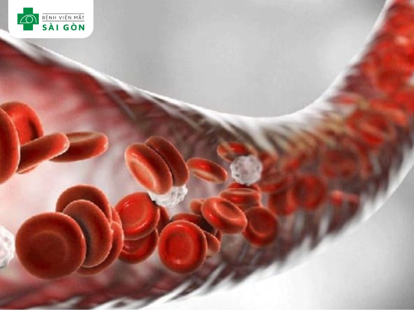 Lợi ích của Vitamin E đối với máu và mạch máu