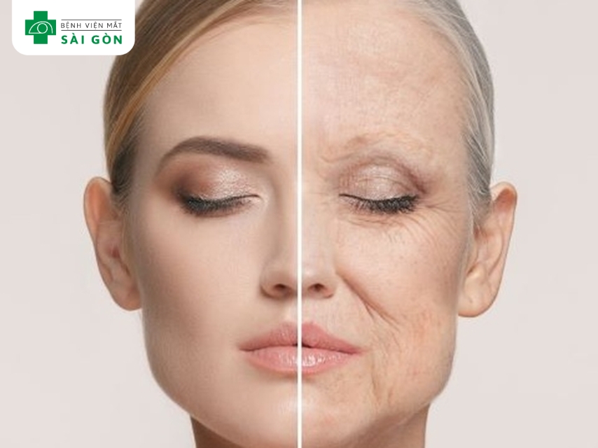 Vitamin E chống oxy hóa, bảo vệ tế bào khỏi gốc tự do.