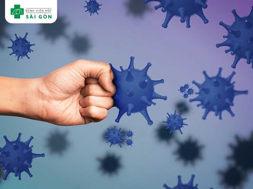 Vitamin E tăng cường miễn dịch, hỗ trợ giãn mạch.