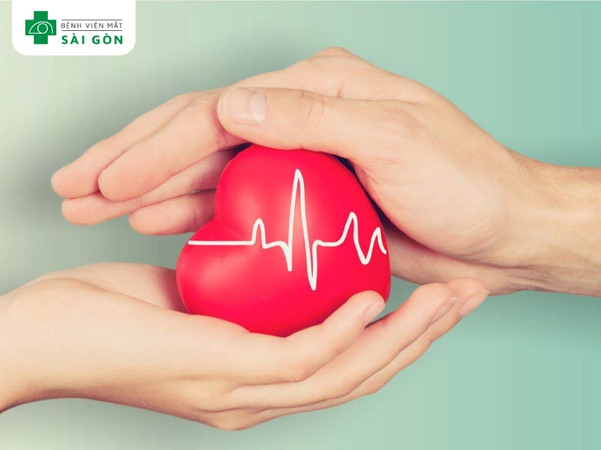 Vitamin nhóm B giảm homocysteine.