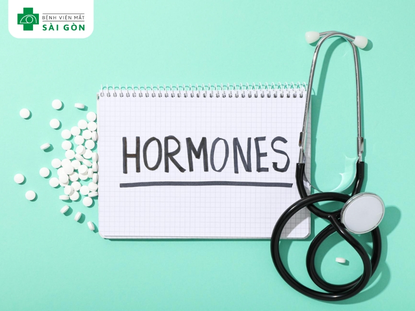 8 vitamin nhóm B hỗ trợ chuyển hóa năng lượng.