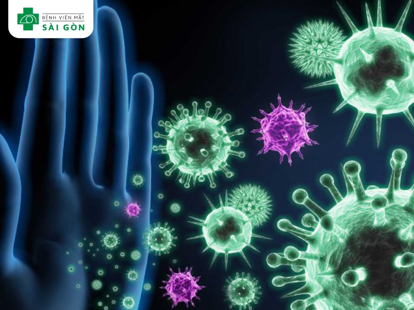 Vitamin nhóm B hỗ trợ hệ miễn dịch, tăng cường tế bào bạch cầu