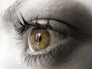Xuất huyết dịch kính: Bệnh lý có thể gây nguy hiểm cho mắt xuất huyết dịch kính