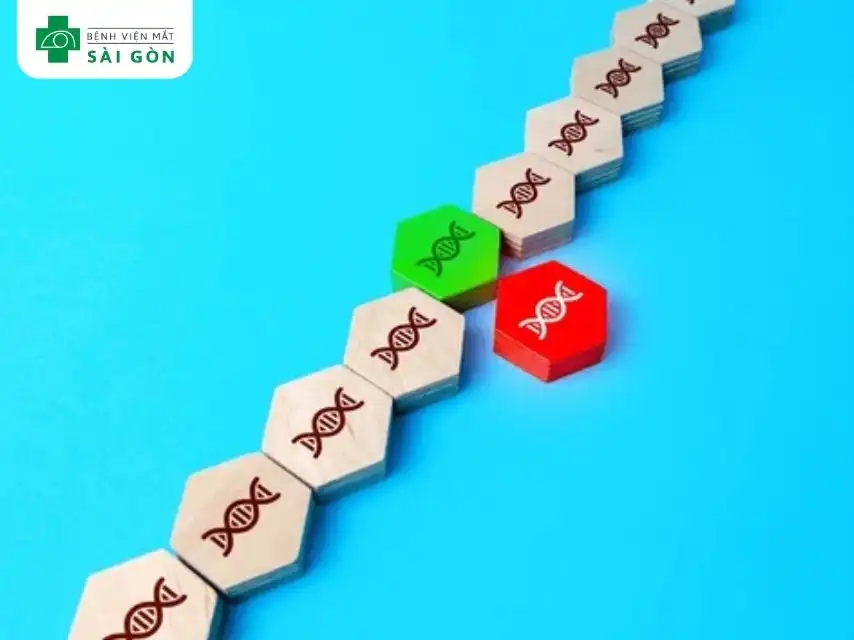 Yếu tố di truyền và rối loạn gen